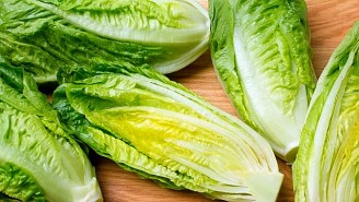 All Romaine Lettuce Should Be Tossed Out Thanks To A Massive E. Coli Outbreak, According To The CDC