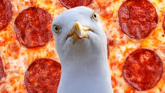 The Saga Of A Banned Traveler, Delicious Pepperoni, And Ravenous Seagulls Comes To A Fitting Close