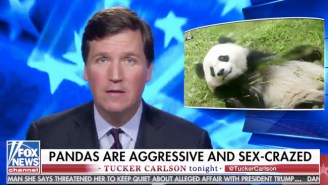 Tucker Carlson Ran A Segment On ‘Sex-Crazed’ Pandas Amid Breaking News About Michael Cohen