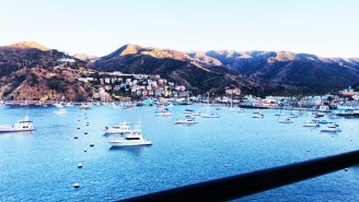 Catalina Island Is The Perfect Place To Play ‘Hooky’ From City Life