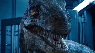 An *Interview* With Blue, A Chill Velociraptor From ‘Jurassic World: Fallen Kingdom’