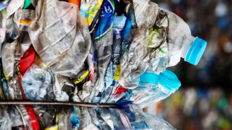 Study: Drinking Bottled Water Doubles The Microplastics You Ingest Per Year