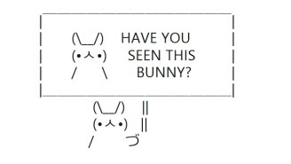 This Bunny Has Urgent Messages For You, And Tired Arms