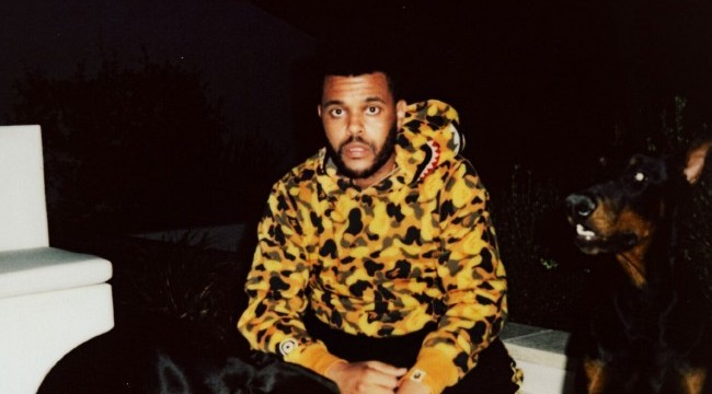 The weeknd 2024 bape hoodie