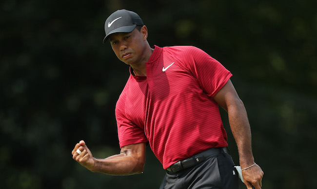 Tiger Woods Made A Wild Birdie On The Ninth At The Pga Championship