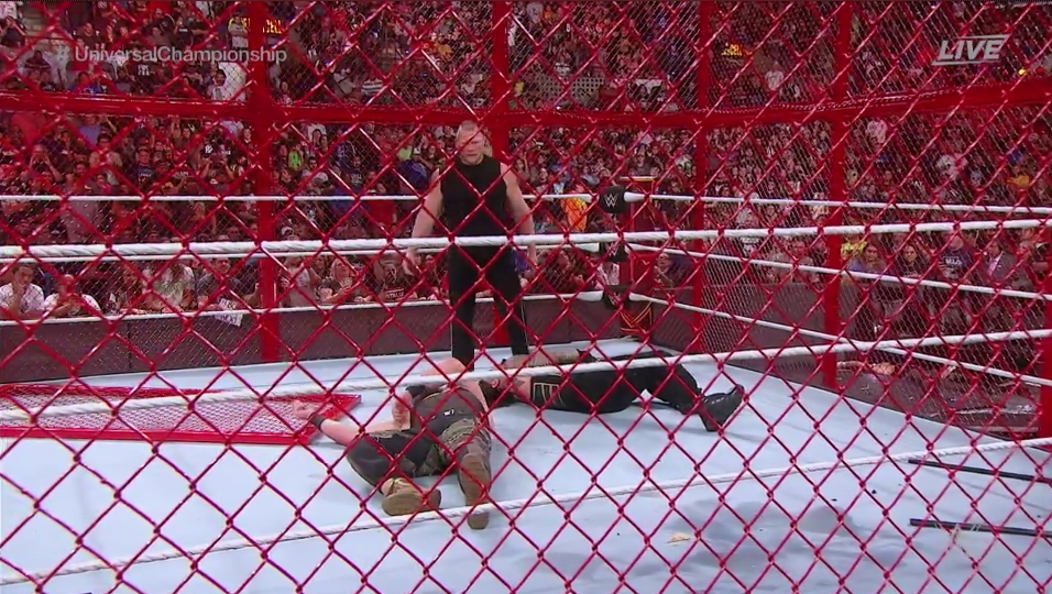 wwe hell in a cell toy cage