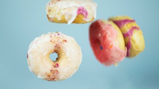 Our Writers Rave About Their Favorite Donuts In The Country
