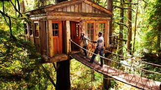 Give Your Inner Child An Epic Vacation In One Of These Treehouses