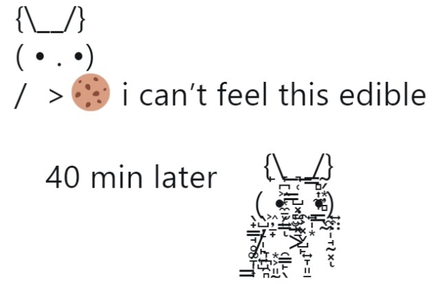 Funniest, Best Tweets About The 'You Want This?' Meme (ASCII Bunny)