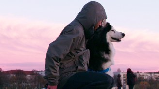 If You Enjoy Looking At Photos Of Dogs On Instagram, Then You’ll Love Netflix’s ‘Dogs’