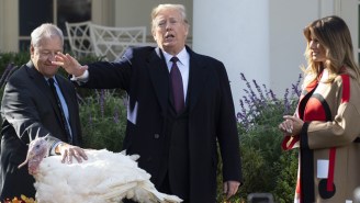 President Trump Sarcastically ‘Joked’ About Recounts While Pardoning This Year’s Thanksgiving Turkey