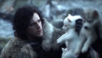 One Animal Shelter Claims ‘Game Of Thrones’ Has Caused An Unfortunate Pet Trend