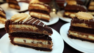 The Cheesecake Factory Wants To Bring Free Cheesecake To Your House