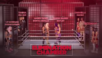 WWE Elimination Chamber 2019: Complete Card, Analysis, Predictions