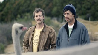 Here’s Everything New On Netflix This Week, Including The Ray Romano Comedy ‘Paddleton’