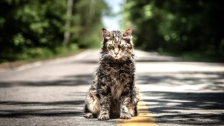 ‘Pet Sematary’ Is A Worthy Remake, As Long As You Don’t Watch The Trailer