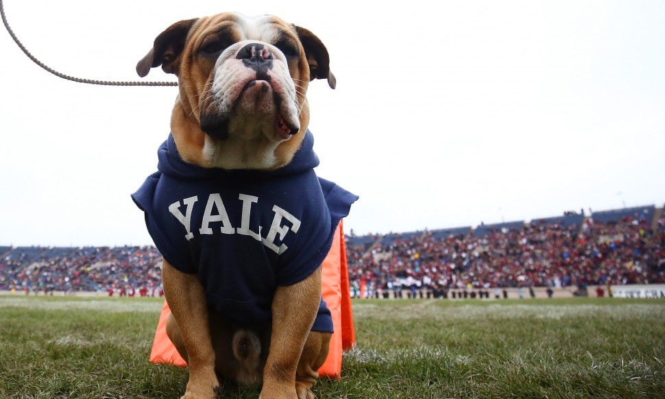 Yale's Soccer Coach Made $1.6 Million To Get Fake Recruits ...