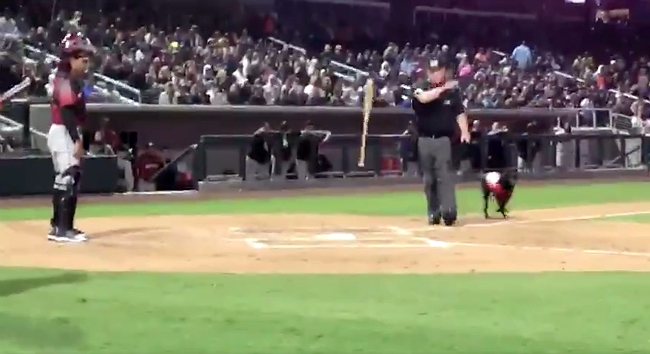 It's My Job: 'We're not as big of jerks as we look,' umpire says