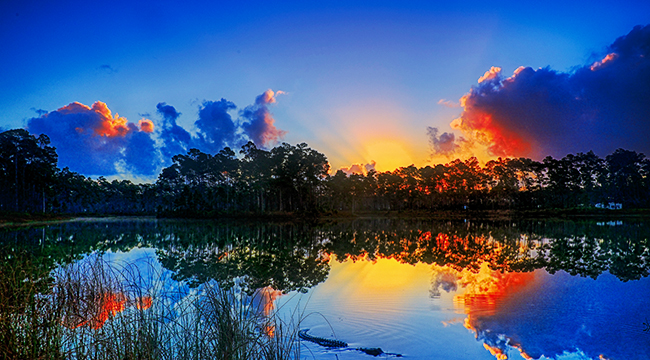 An Everglades Adventure Is The Perfect Break From Miami's Craziness