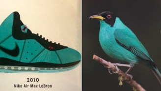 Someone Started An Amazing Twitter Thread Comparing Popular Sneakers To The Birds That Look Like Them