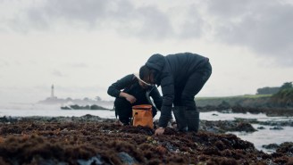 Foraging For Sushi Ingredients On A Beach Is An Unforgettable Adventure In Sustainable Dining