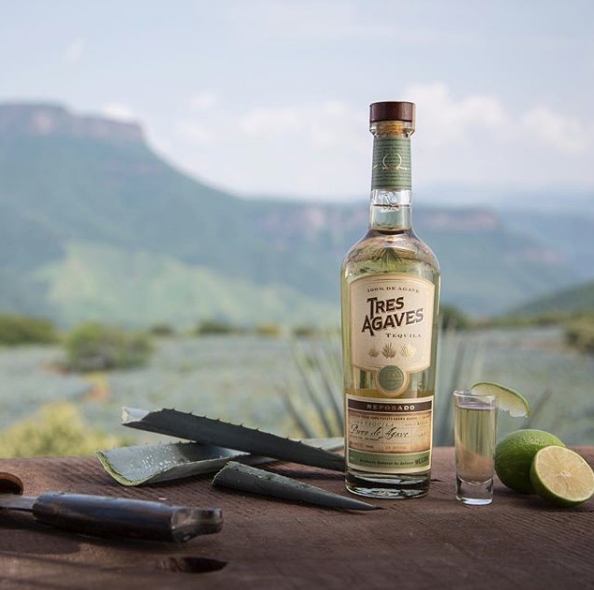 Best Cheap Bottles Of Tequila For Shooting And Mixing