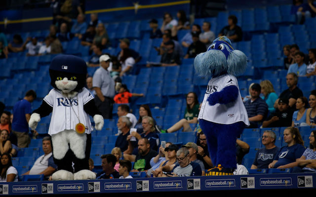 Rays Reportedly Exploring Playing in Tampa Bay and Montreal