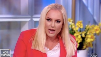 Meghan McCain Is Being Trounced For Arguing That Migrant Children Detention Camps Aren’t Torture