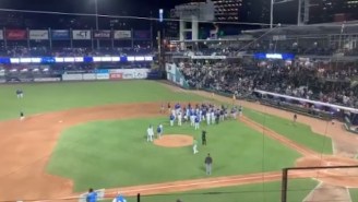 The Benches Cleared In A Minor League Baseball Game After A No-Hitter Was Broken Up By A Bunt