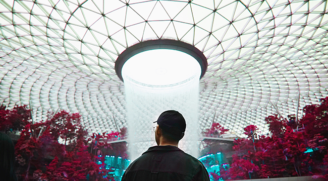 Singapore: New Jewel Changi Airport is a treat for jungle lovers [PHOTOS]