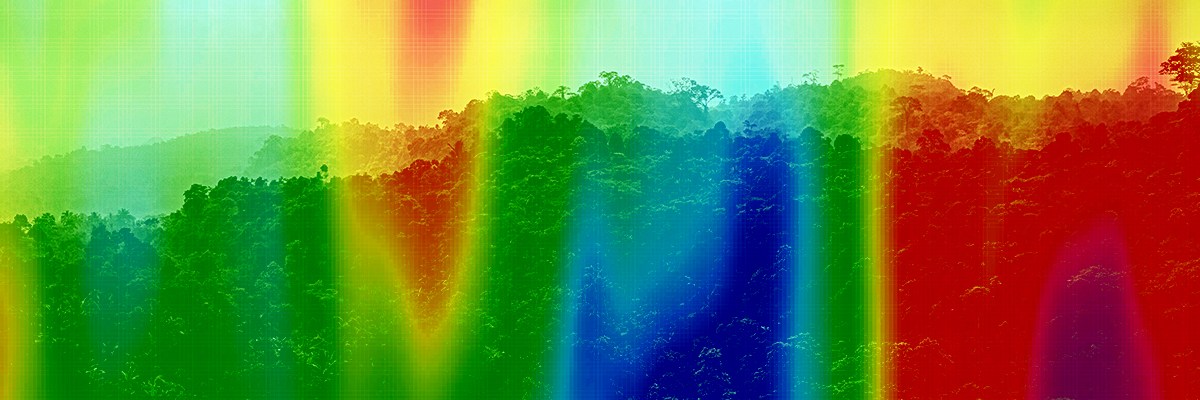 The Climate Change Policies Of Every Serious Presidential Contender