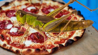 The Grasshopper Invasion In Nevada Is So Bad That One Restaurant Is Putting The Bugs On Pizza