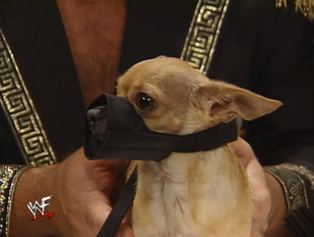 8 Great Dogs In Pro Wrestling History