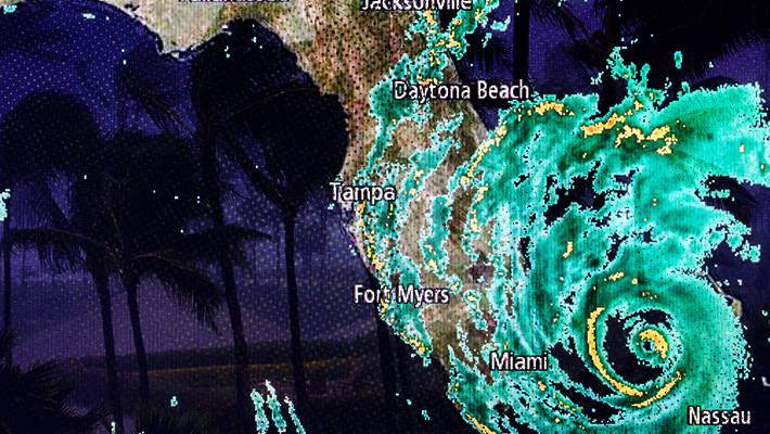 hurricane-grid-uproxx.jpg