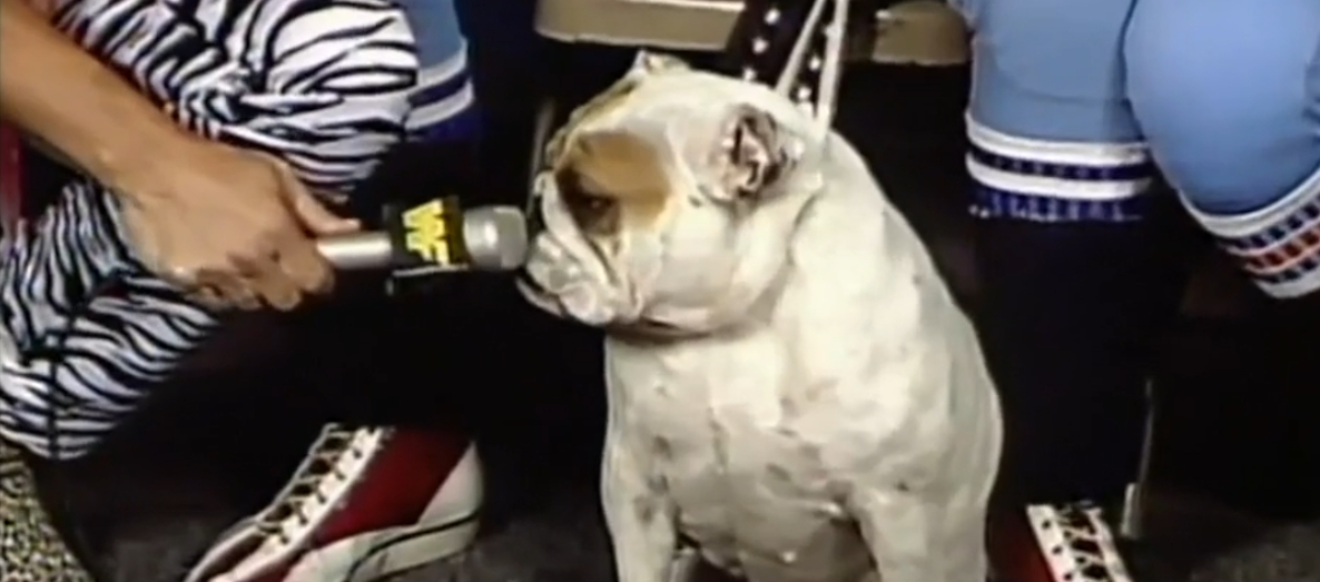 8 Great Dogs In Pro Wrestling History