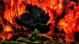 The Science Behind Why Wildfires Happen And How You Can Help Prevent Them