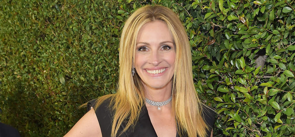Julia Roberts Suggested to Play Harriet Tubman, Says 'Harriet' Writer