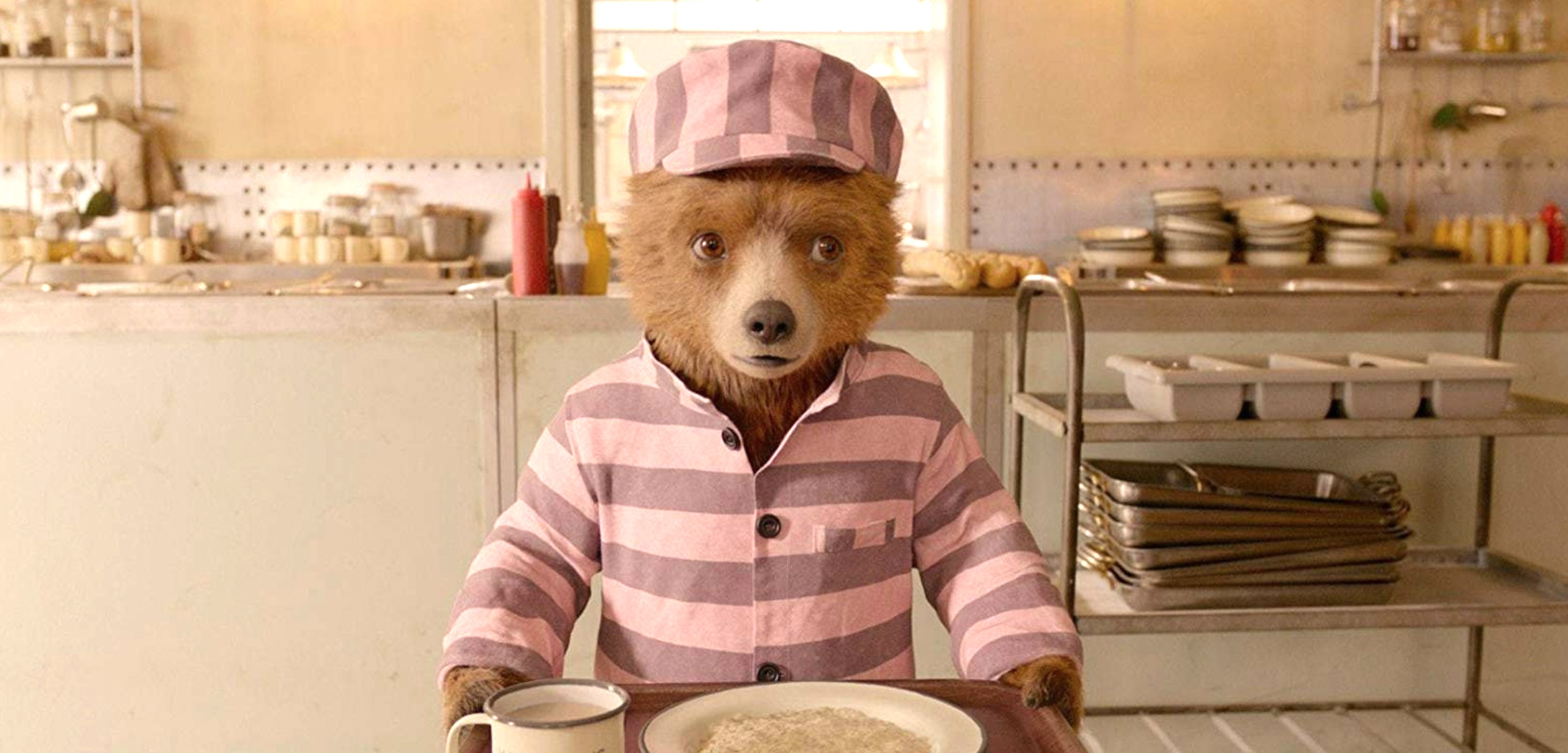 paddington-bear.jpg