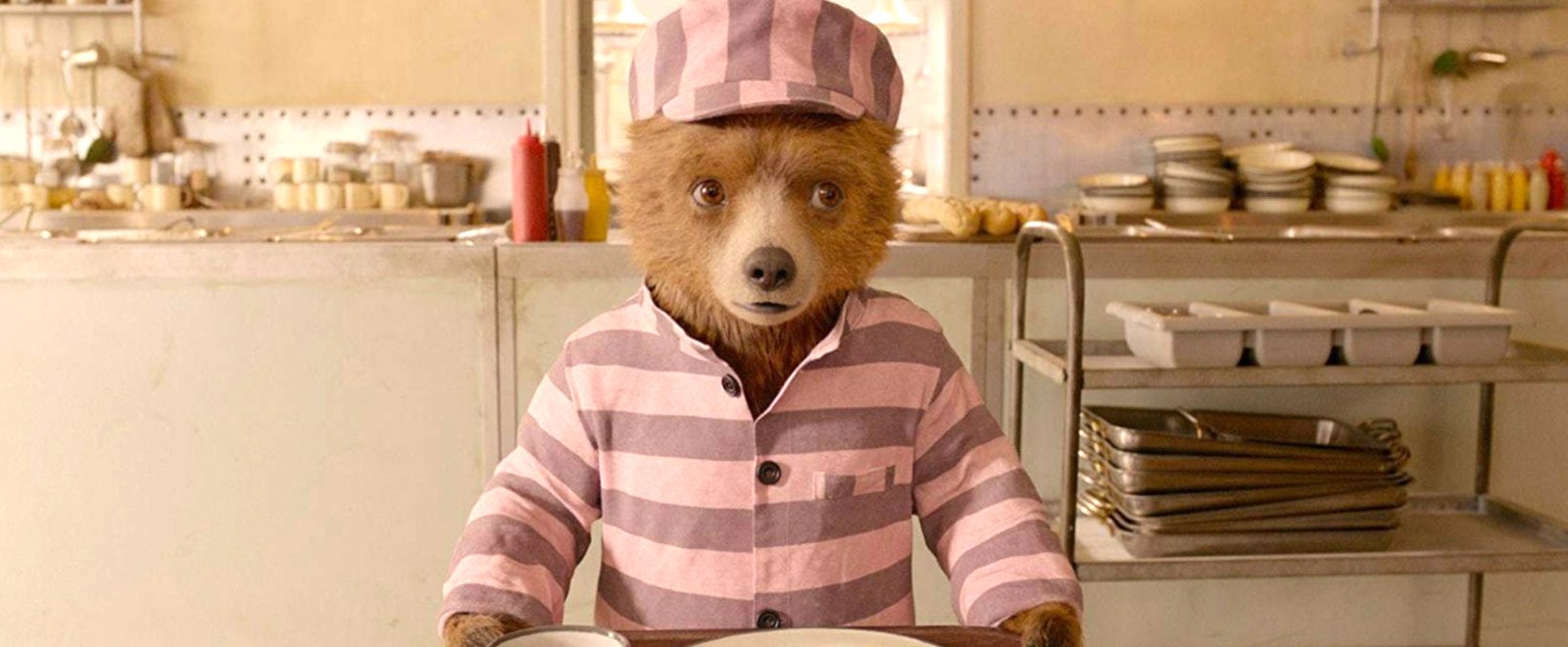 paddington-bear.jpg