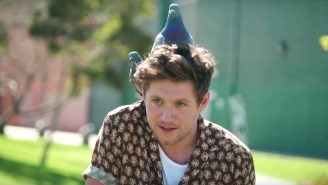 Niall Horan Conquers His Extreme Fear Of Pigeons During ‘Carpool Karaoke’ On ‘Corden’