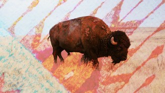 Support America’s Most Vulnerable Communities By Ordering These Indigenous Foods Online