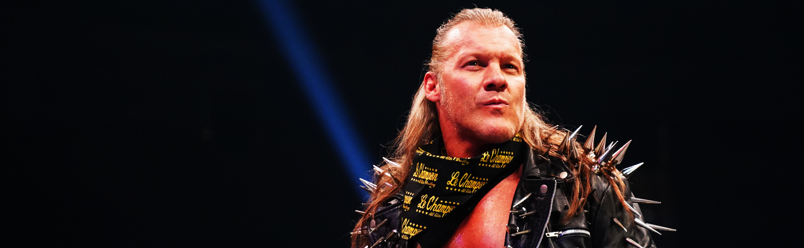 Chris Jericho banner