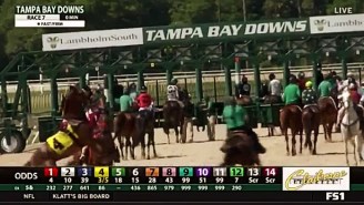 The Heavy Favorite At A Horse Race In Tampa Bucked Its Jockey And Ran Away