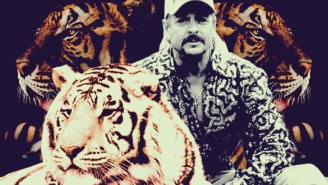 ‘Tiger King’ Ignores Its Only True Protagonists — The Actual Tigers
