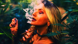 These Cannabis Strains Will Ensure Your Spring Party Season Is Lit