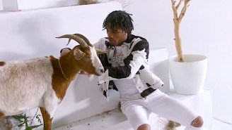 Lil Baby Hangs Out With A Goat In His ‘Emotionally Scarred’ Video
