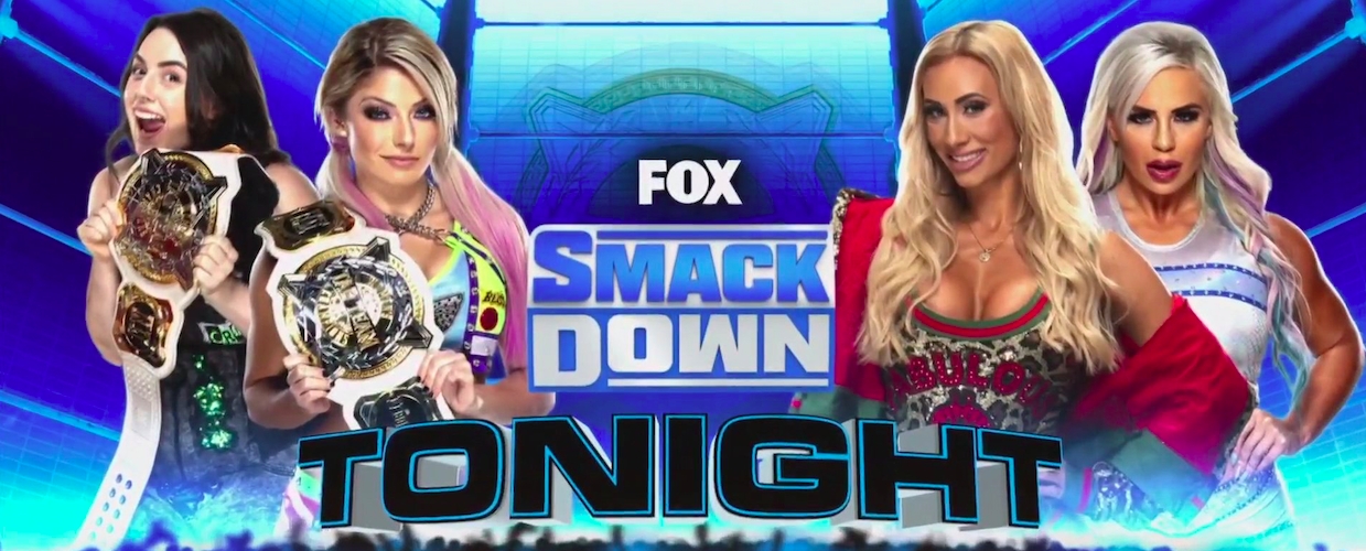 smackdown-womens-tag-titles-banner.jpg
