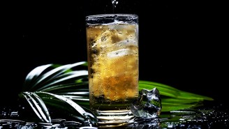 Bartenders Shout Out The Best Whiskeys To Mix Into A Highball