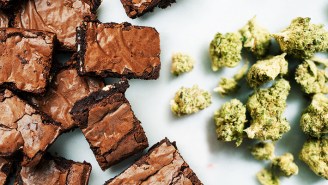 An Expert Tells Us How To Start Making Edibles At Home This Weekend