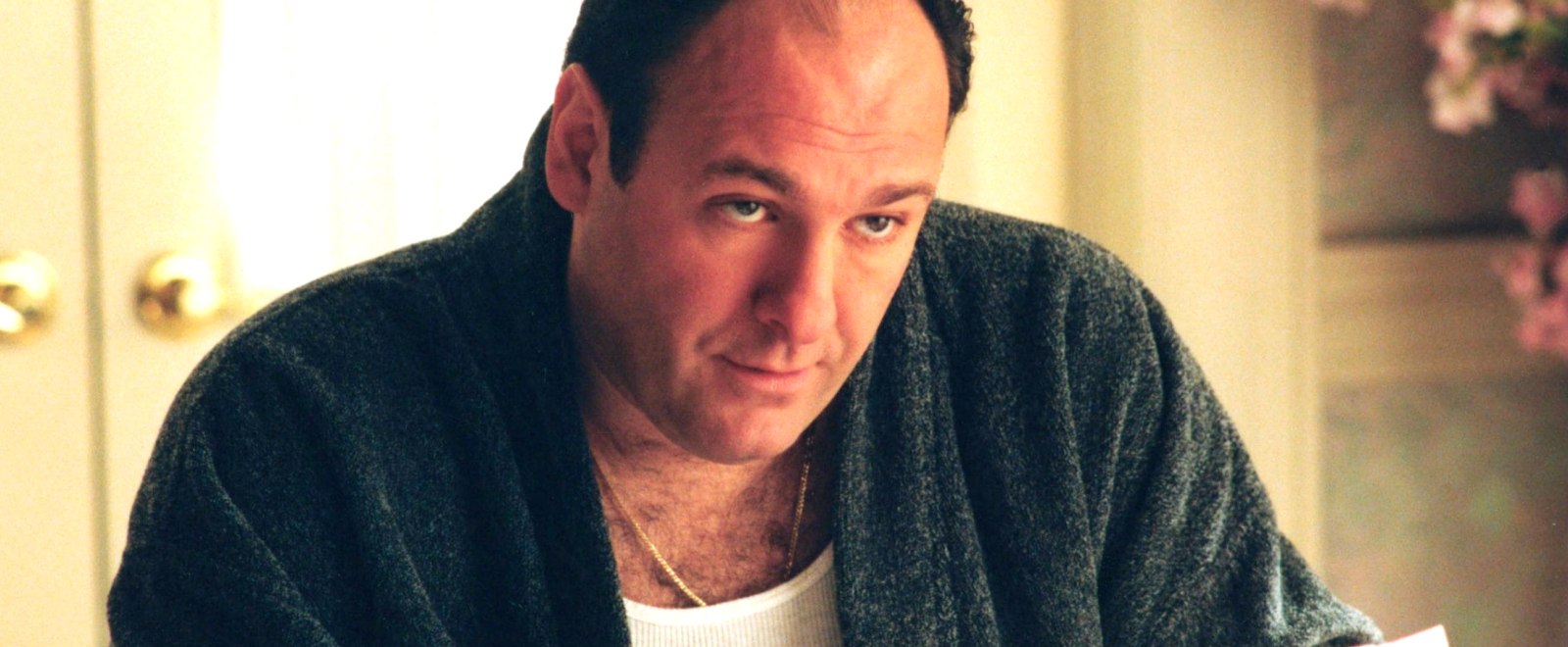 james-gandolfini.jpg